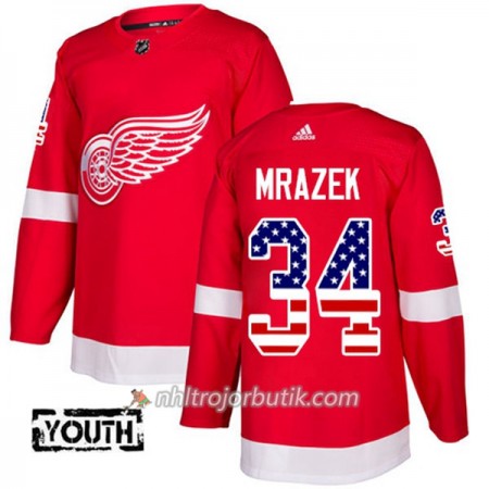Barn Ishockey Detroit Red Wings Tröja Petr Mrazek 34 Adidas 2017-2018 Röd USA Flag Fashion Authentic Barn Ishockey Detroit Red Wings Tröja Petr Mrazek 34 Adidas 2017-2018 Röd USA Flag Fashion Authentic